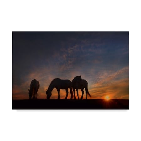 Phburchett 'Camargue Sunrise' Canvas Art,22x32